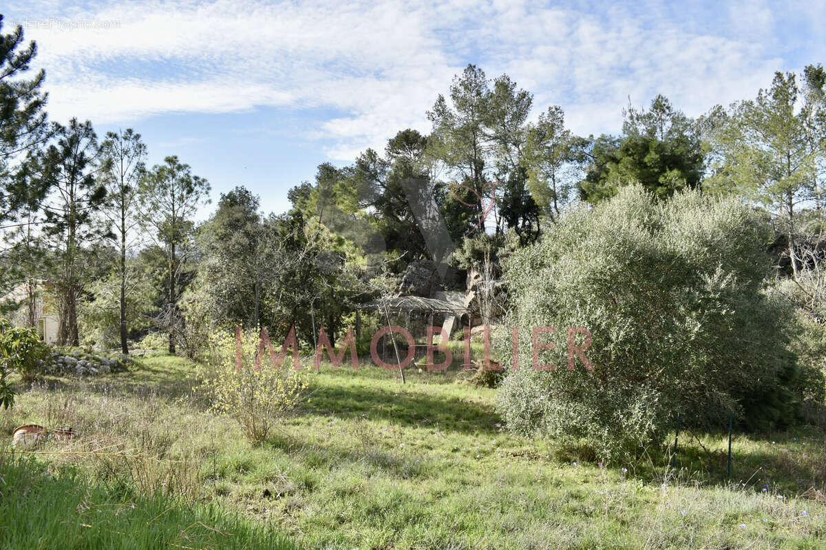Maison à OUPIA