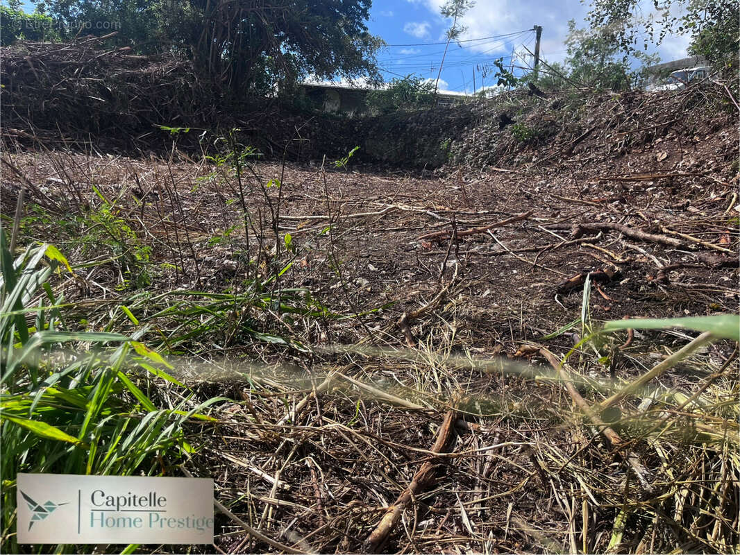 Terrain à SAINTE-ANNE