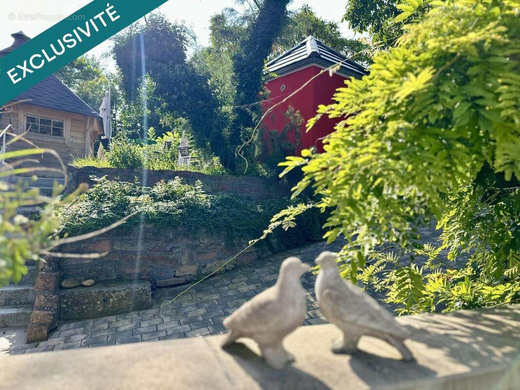 Photo 8 - Appartement à MARCKOLSHEIM