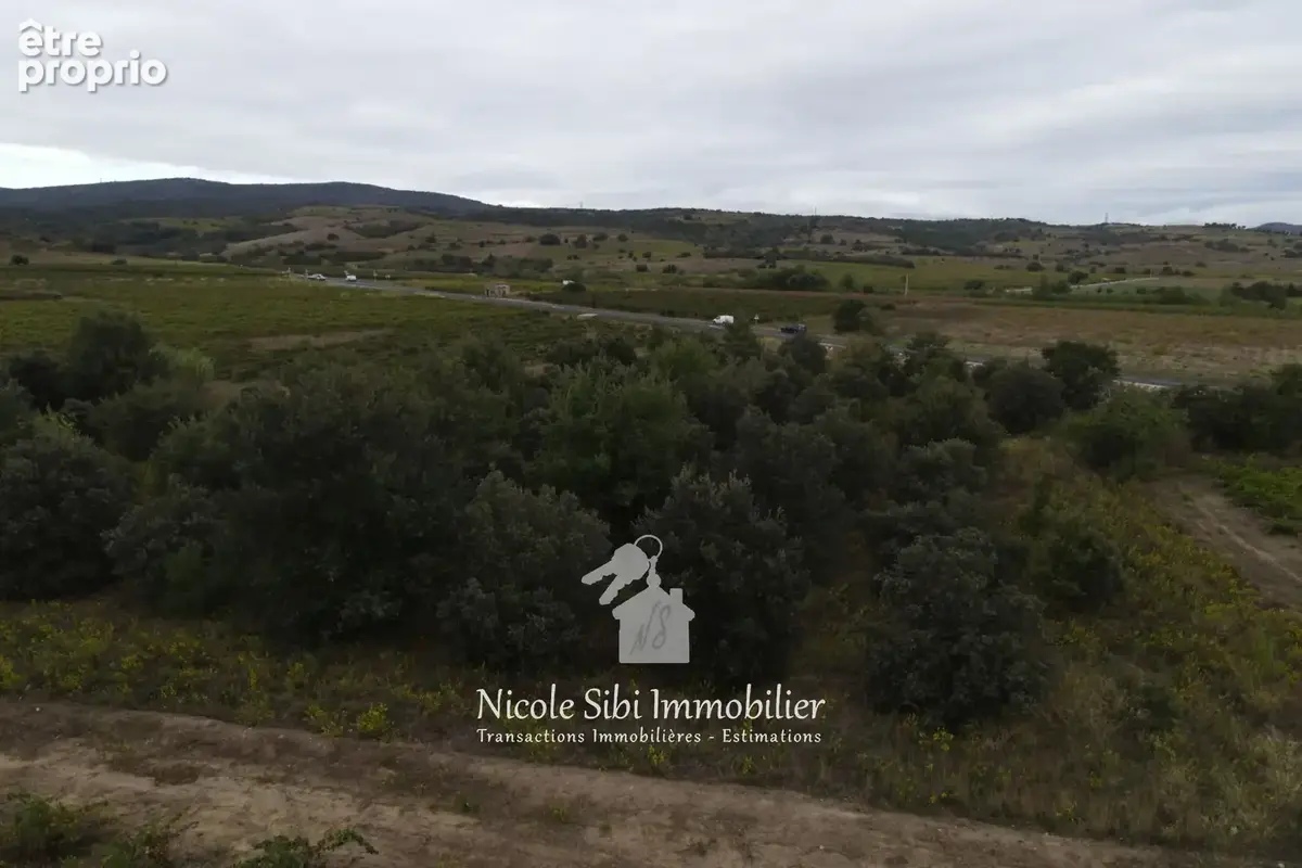 Terrain 7 102 m² à vendre à Montner (66720) - photo 4