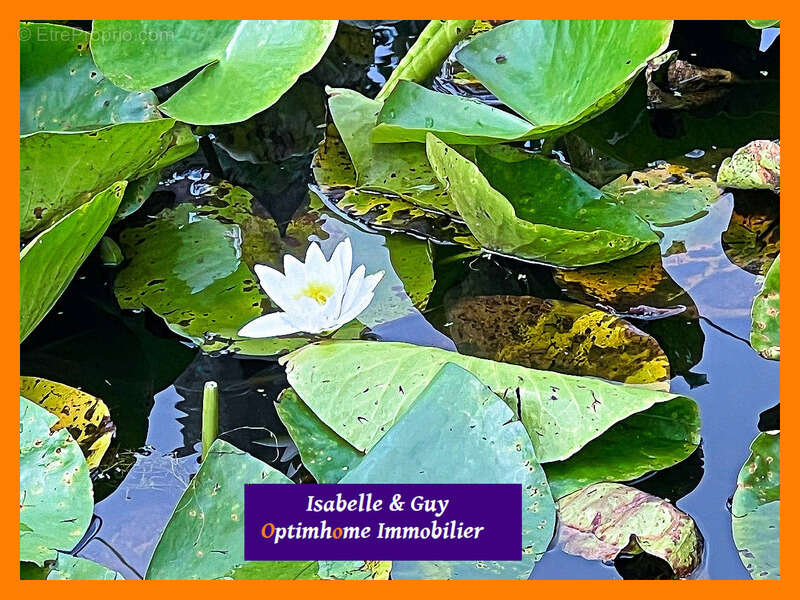 Maison à VERNEUIL-SUR-AVRE