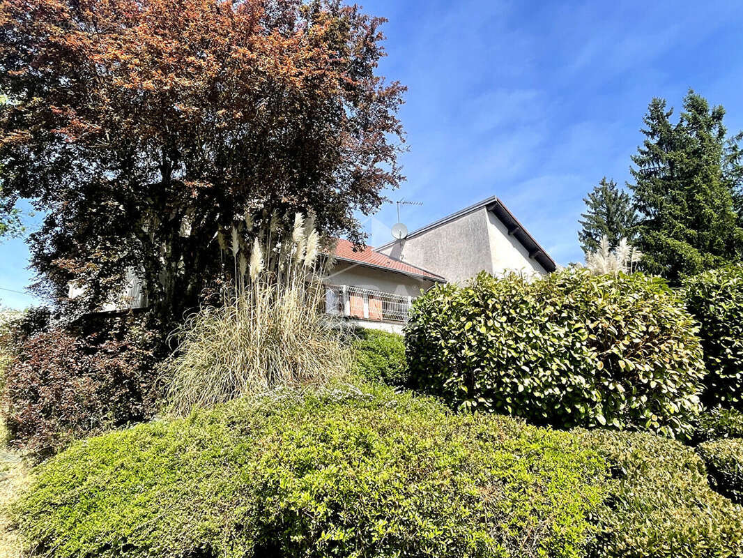 Maison à TORPES