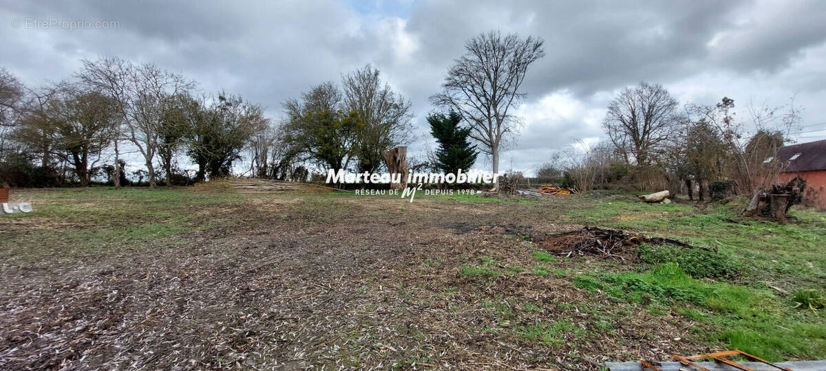 Terrain à SAINT-JEAN-D'ASSE
