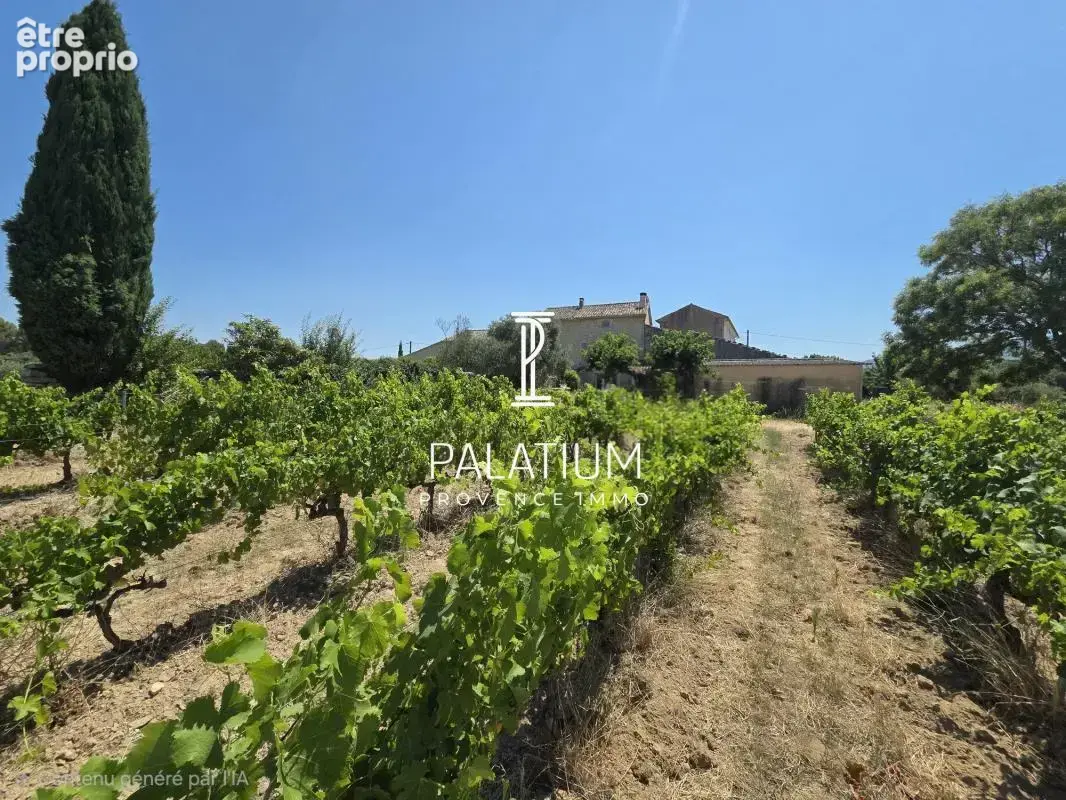 EXCLUSIVITE ! MÉNERBES (84) – Maison en pierre de 100 m² avec dépendances aménageables et plus de 3 hectares de vignes - photo 22
