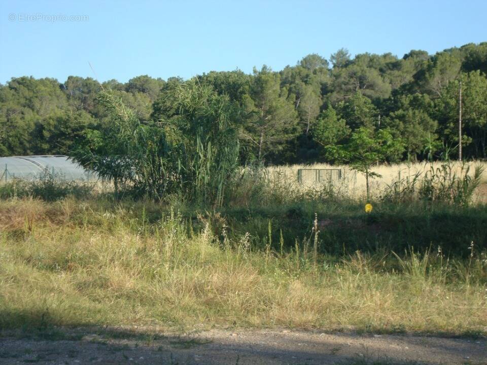 Terrain à PIERREFEU-DU-VAR