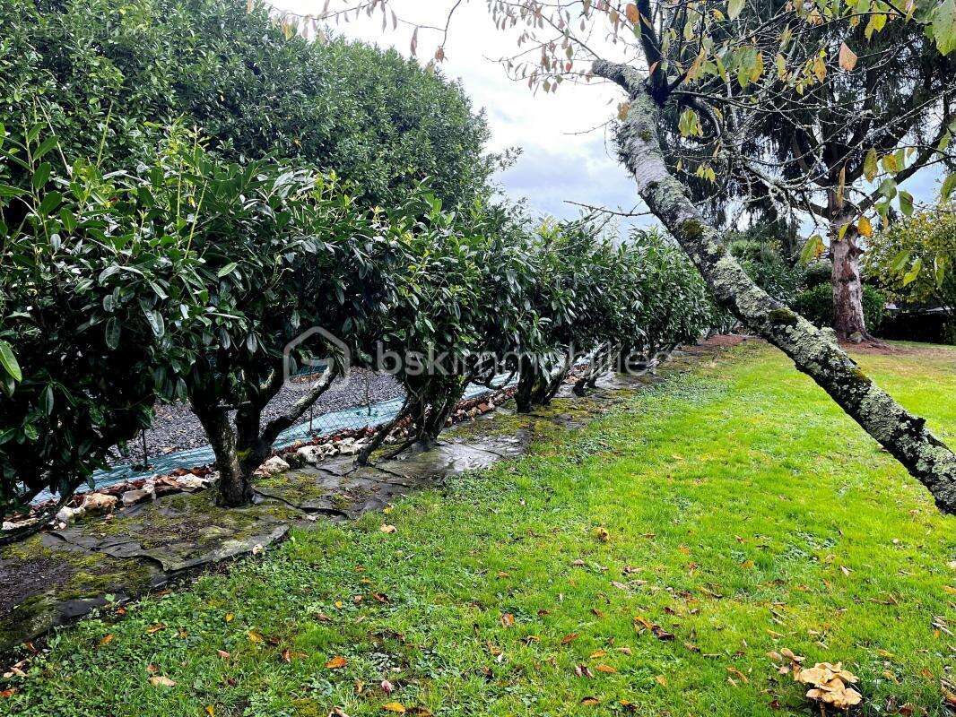 Terrain à LE BREUIL-EN-AUGE