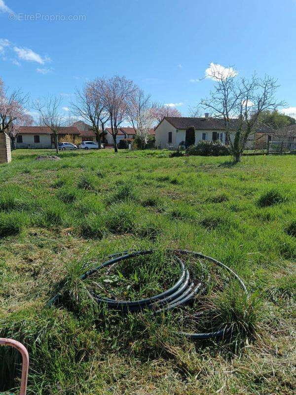 Terrain à GAILLAC