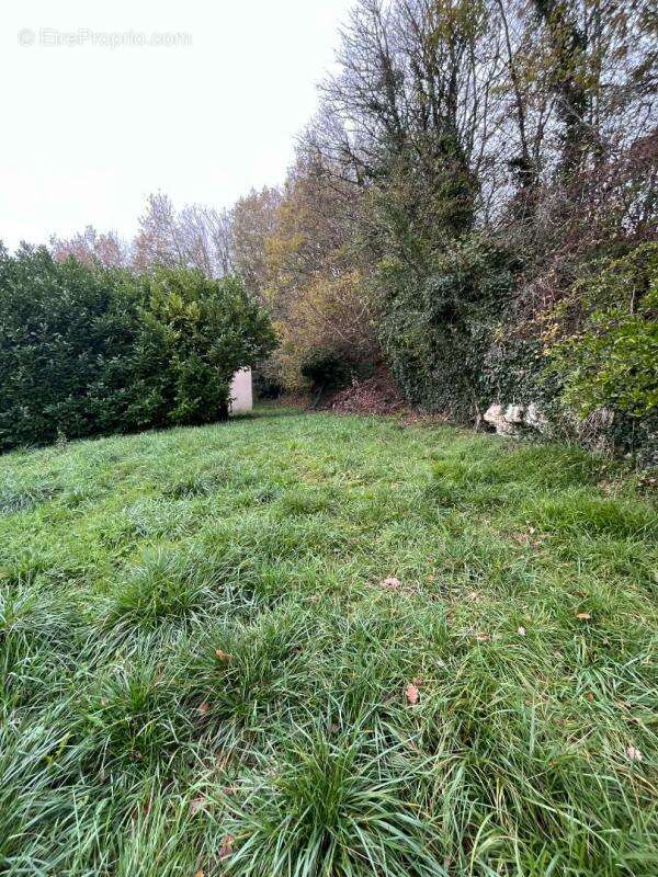 Terrain à CHAMPCEVINEL