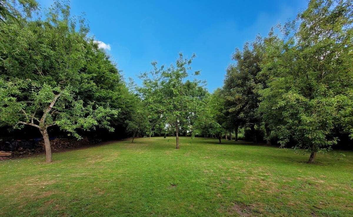 Maison à AVESNES-SUR-HELPE