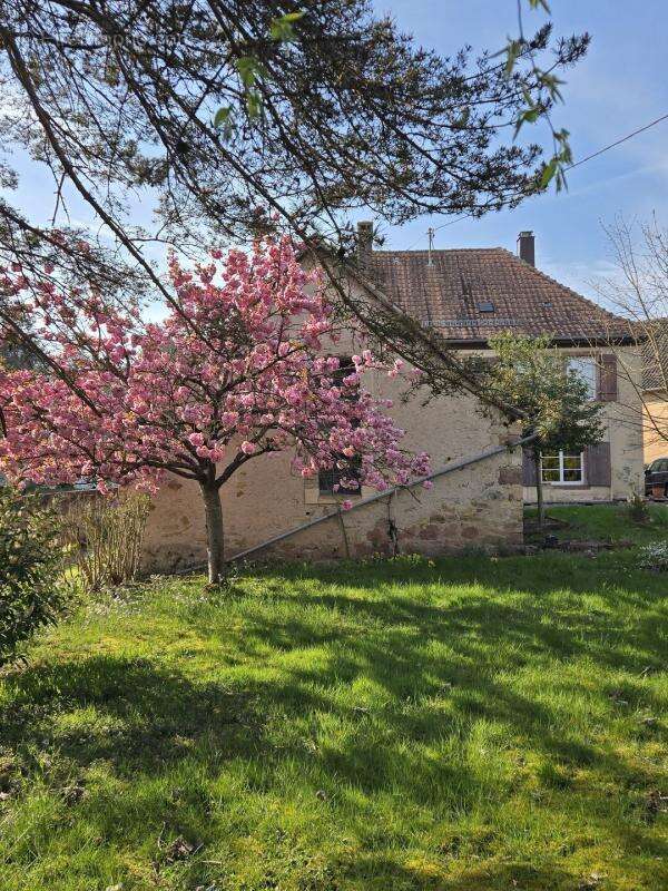 Maison de caractère de 181,50 m² sur un terrain de 1703 m² - photo 3