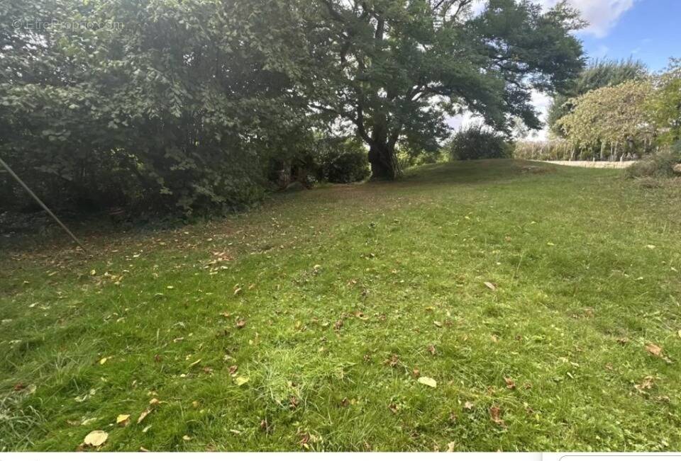 Terrain à SAINTRY-SUR-SEINE