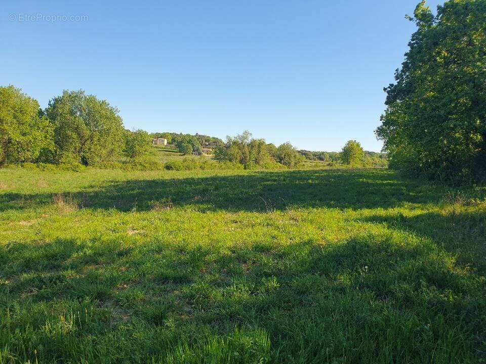 Terrain à SAINT-CESAIRE-DE-GAUZIGNAN