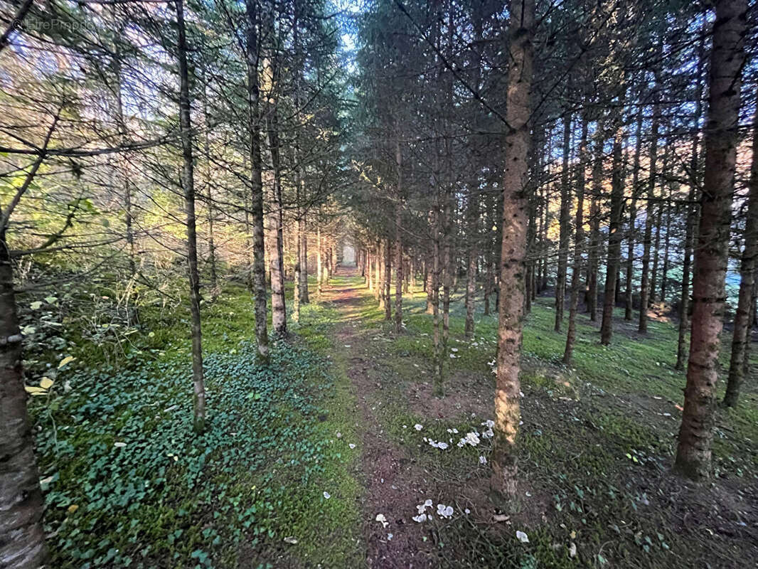 Maison à COURTIVRON