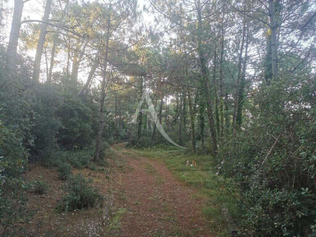 Terrain Saint Jean De Monts - photo 3