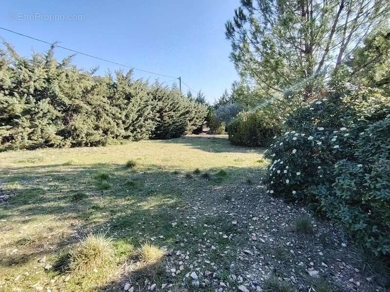 Terrain à vendre 1004m²  CUCURON (84) - photo 2