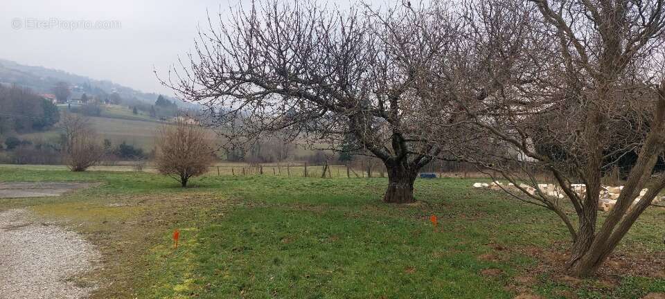 Terrain à ORNACIEUX