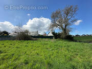 Terrain à LA FORET-FOUESNANT