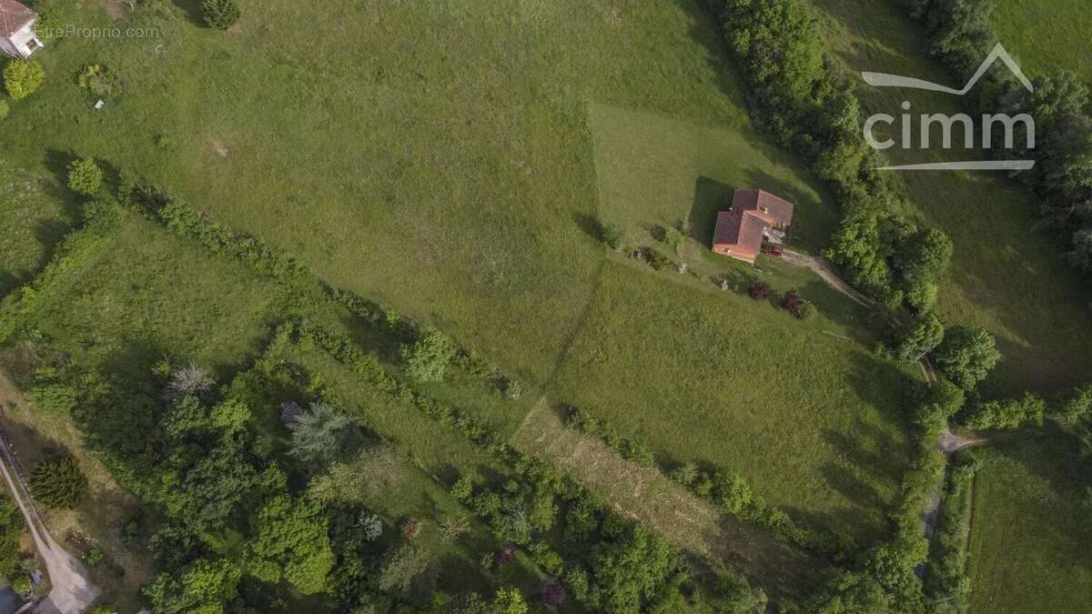 Terrain à CORDES-SUR-CIEL
