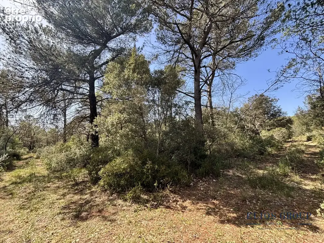 Terrain 2 516 m² à vendre à Nans-Les-Pins (83860) - photo 4