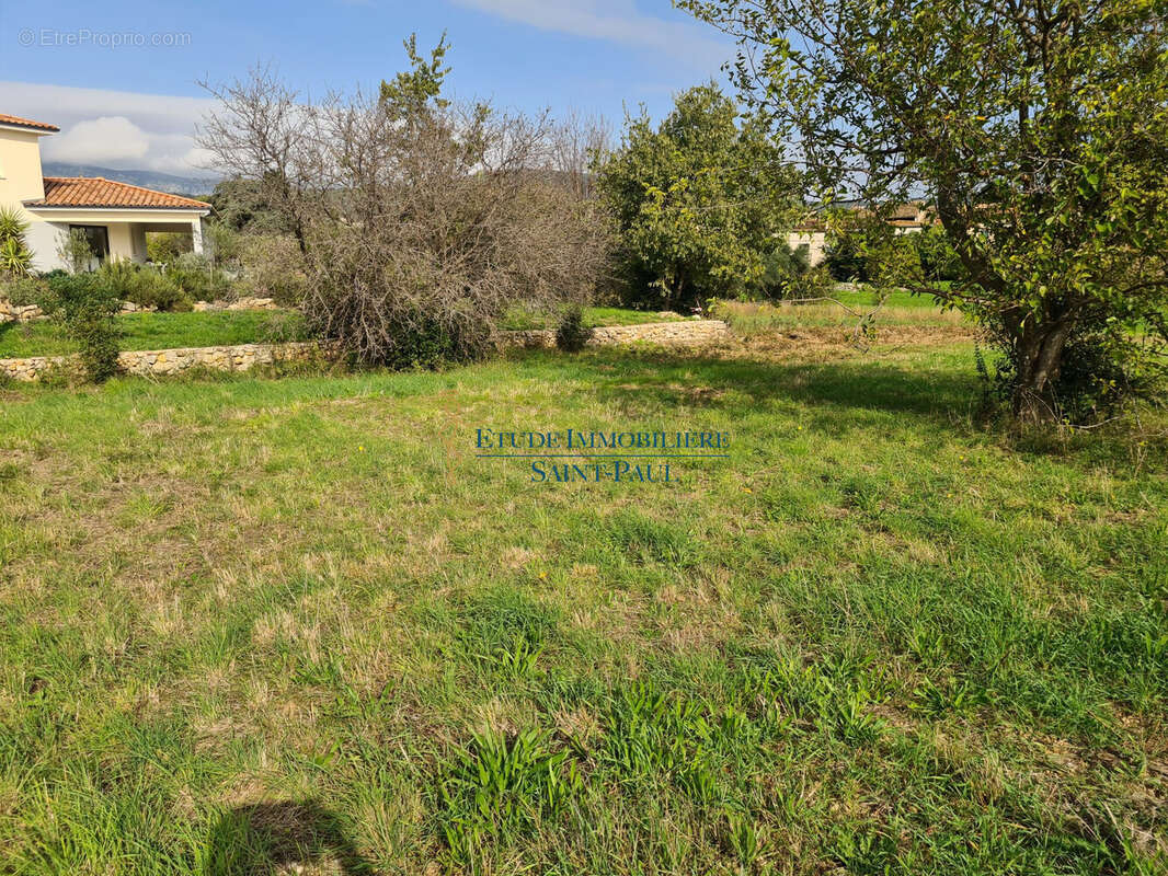 Terrain à MONTPEYROUX