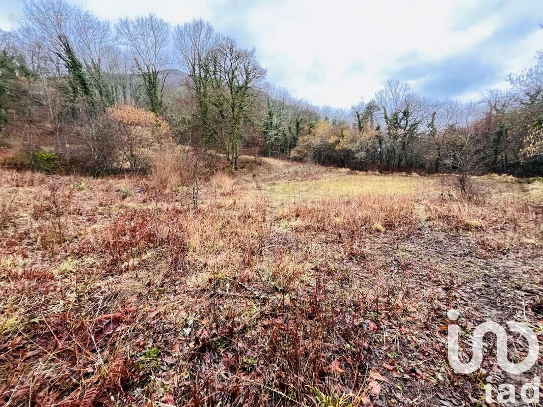 Photo 5 - Terrain à CIPIERES