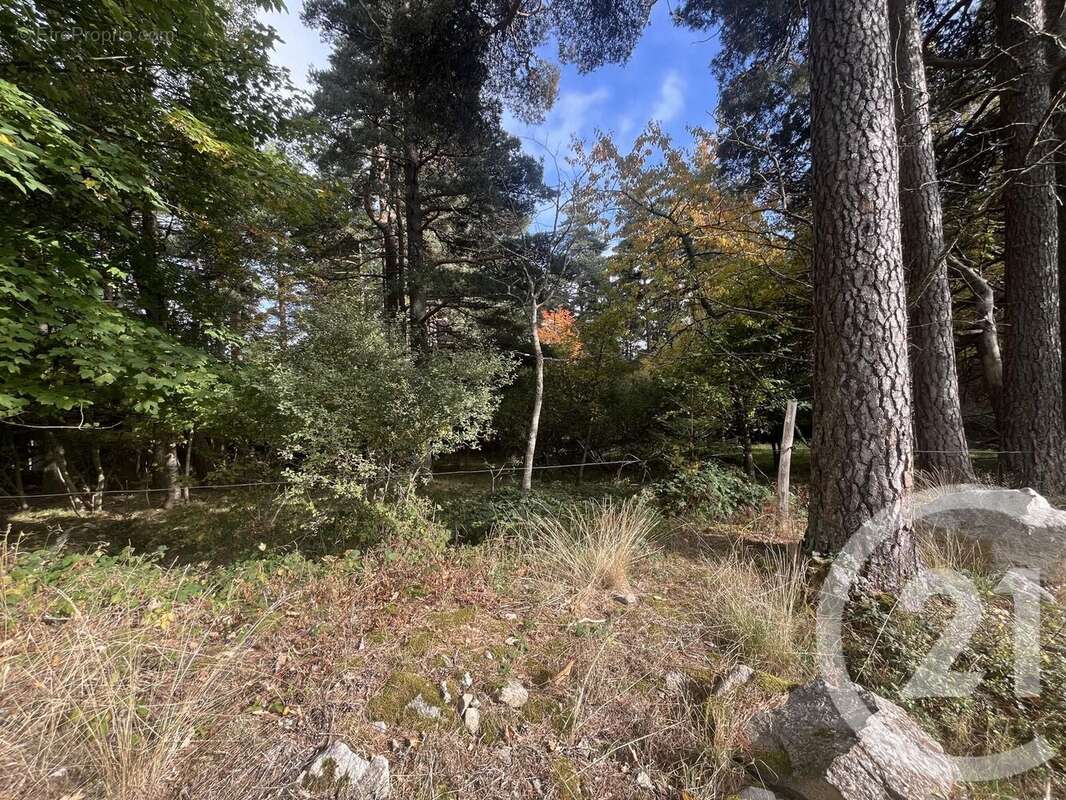 Terrain à BURDIGNES