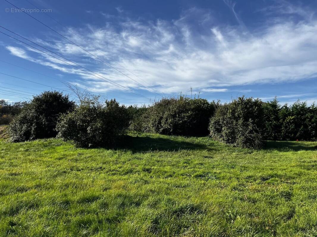 Terrain à TIGNIEU-JAMEYZIEU