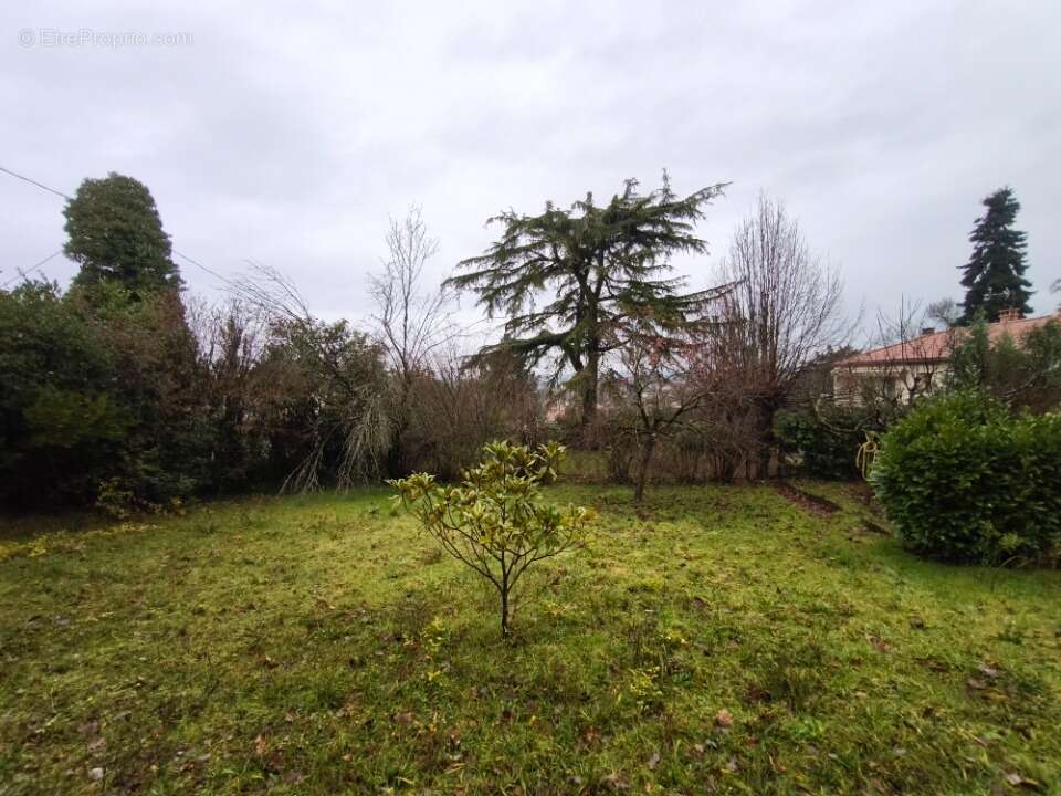 Terrain à BEAUMONT-LES-VALENCE