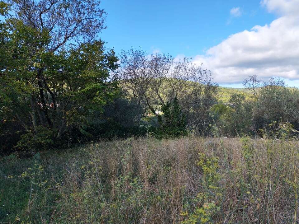 Terrain à CARNOULES