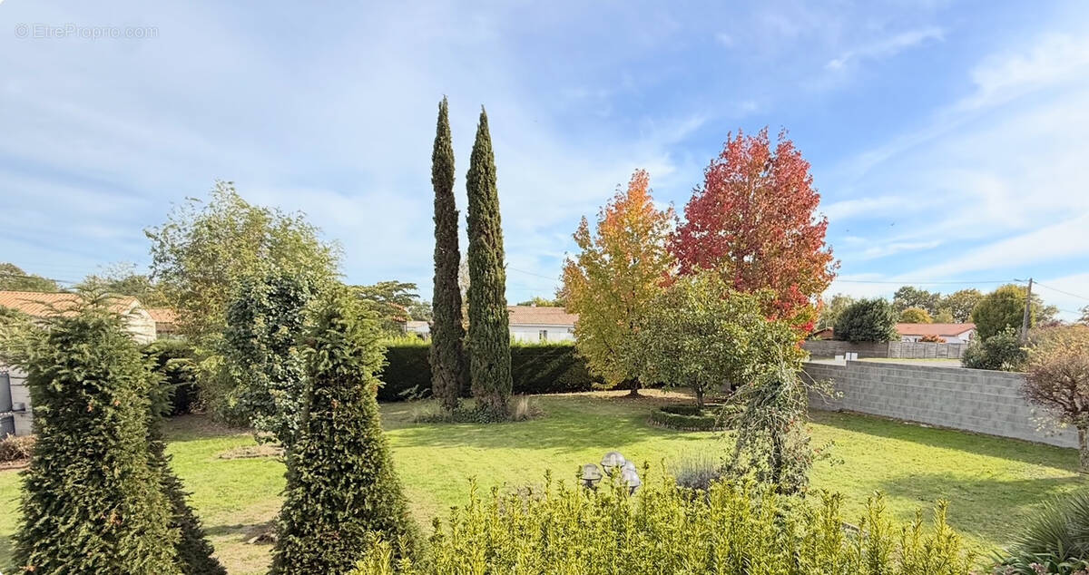 Terrain à SAINT-MARS-DE-COUTAIS