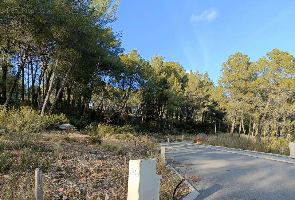 Terrain à SALERNES