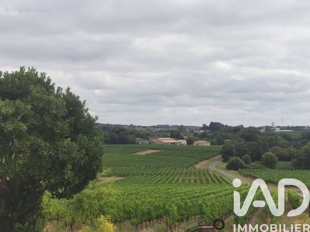Maison 167 m² à Saint-Genes-De-Blaye  - photo 9