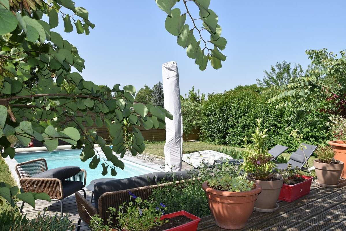 Maison à L'ISLE-JOURDAIN