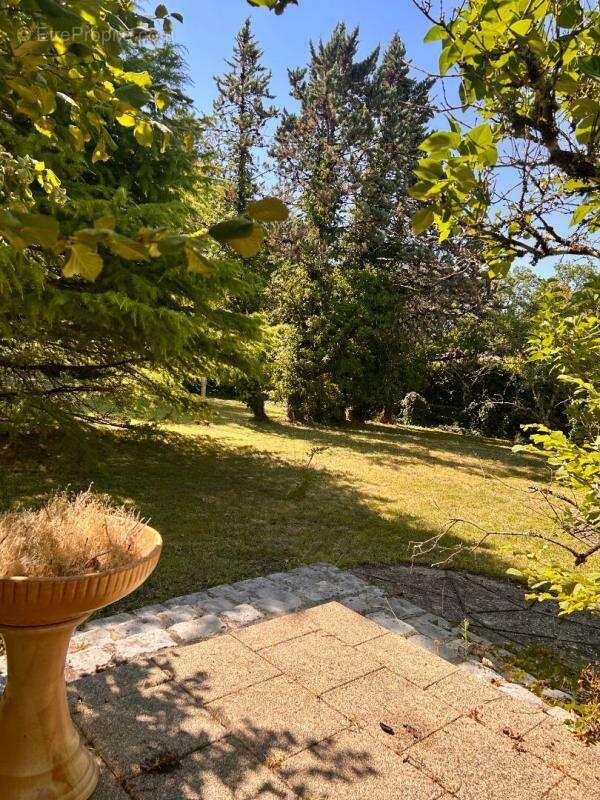 Maison à CHAMPCEVINEL