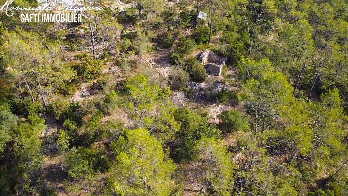 Photo 1 - Terrain à BELGENTIER