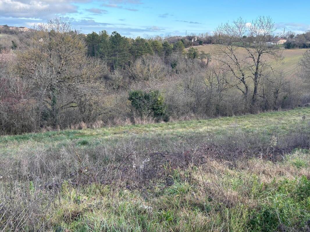 Photo 1 - Terrain à LABASTIDE-GABAUSSE