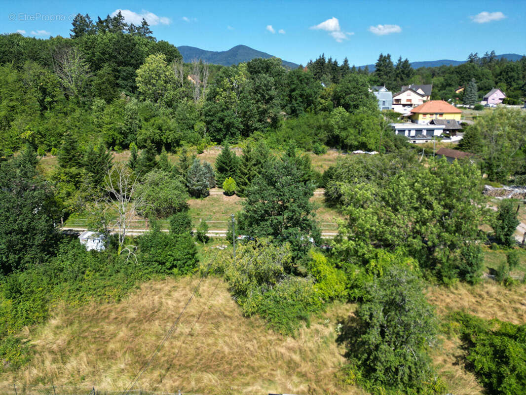 URMATT - Terrain  2821 m2 - Zone UB - photo 5