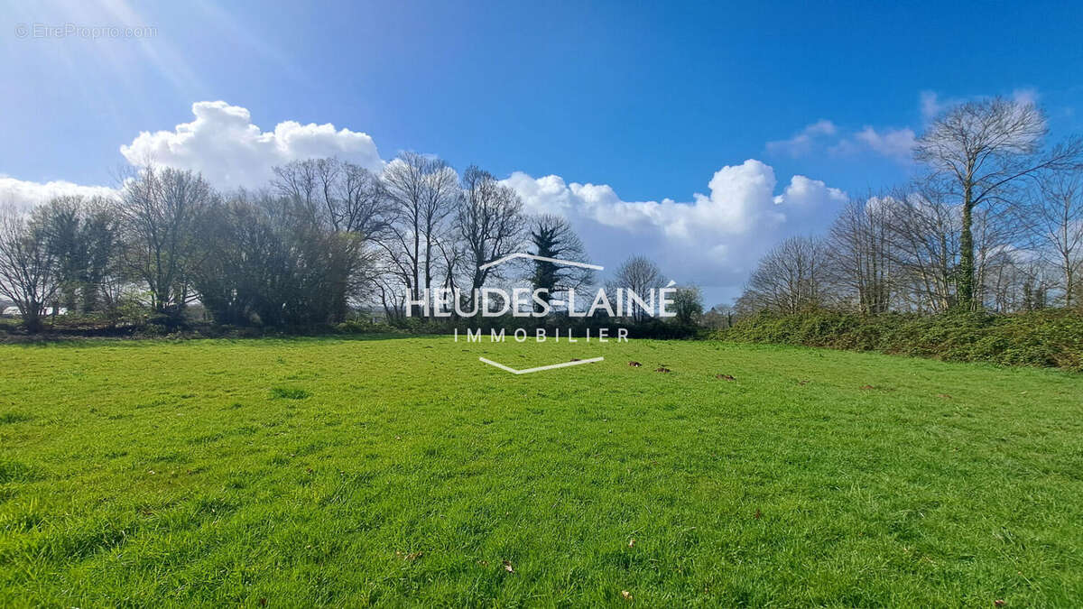 Maison à vendre - ISIGNY-LE-BUAT - 50540 - photo 8