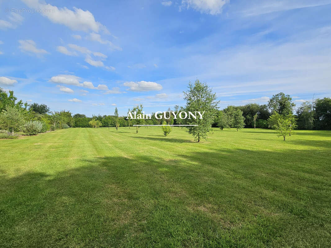 Maison 303 m² à Cormeilles  - photo 8