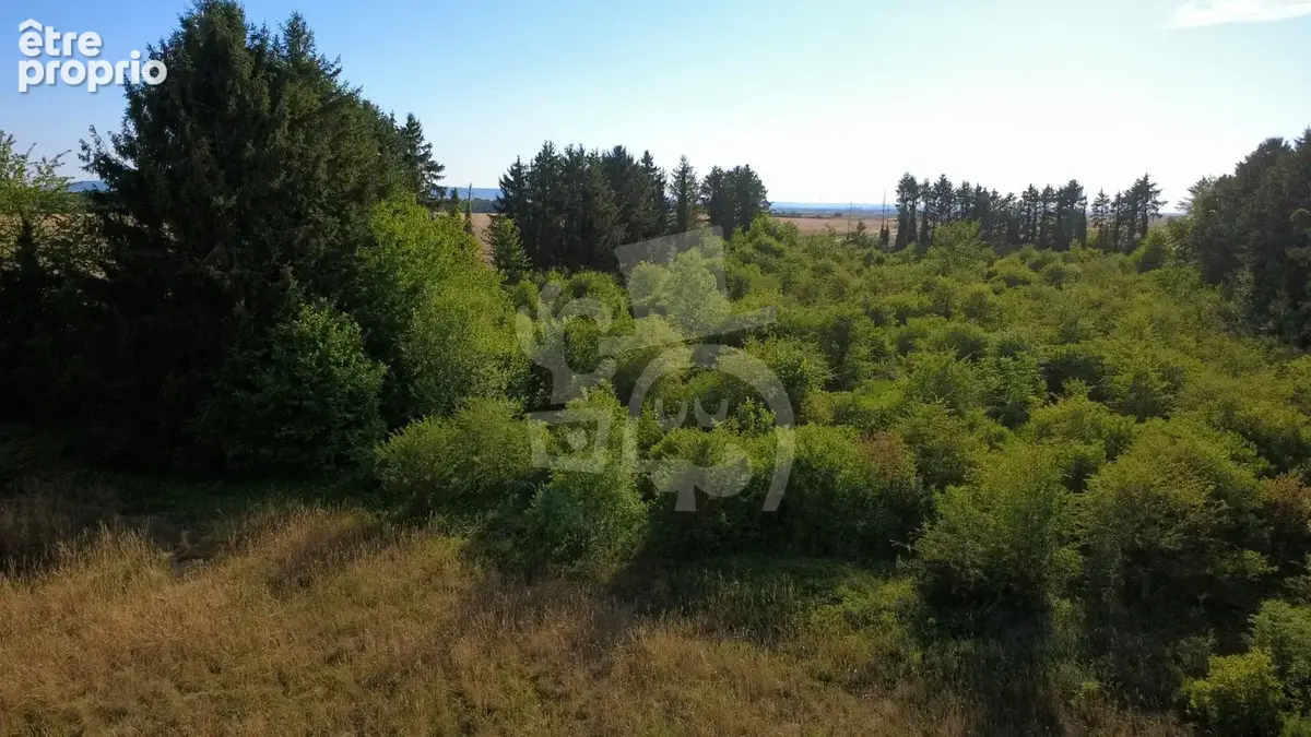 Terrain de 17 960 m2 avec 145 m2 de bâti - photo 10