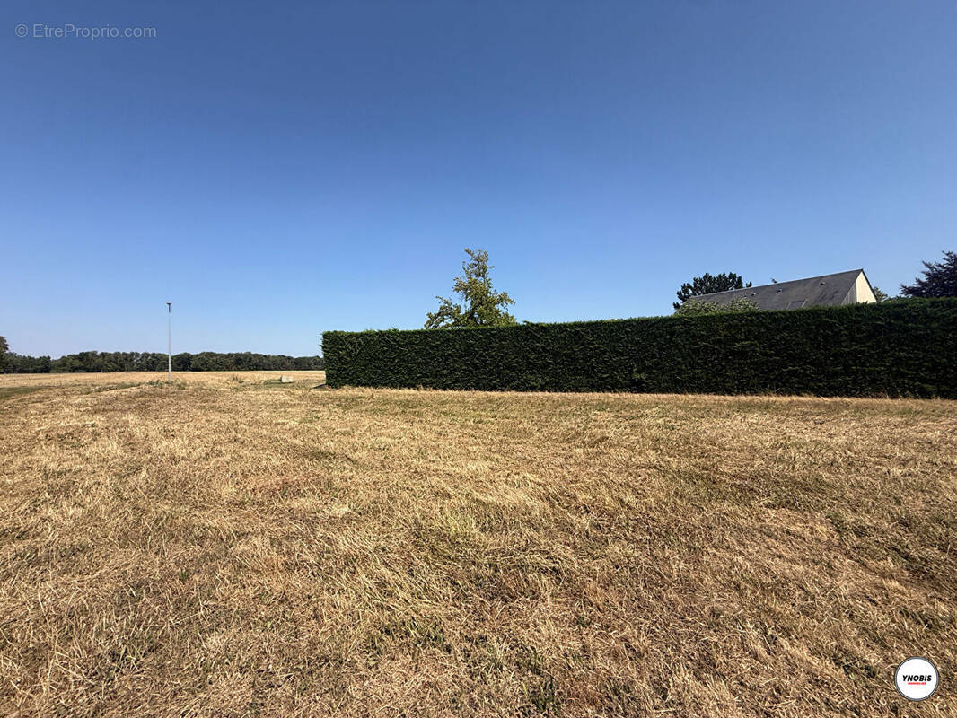 Terrain à LES ALLUETS-LE-ROI