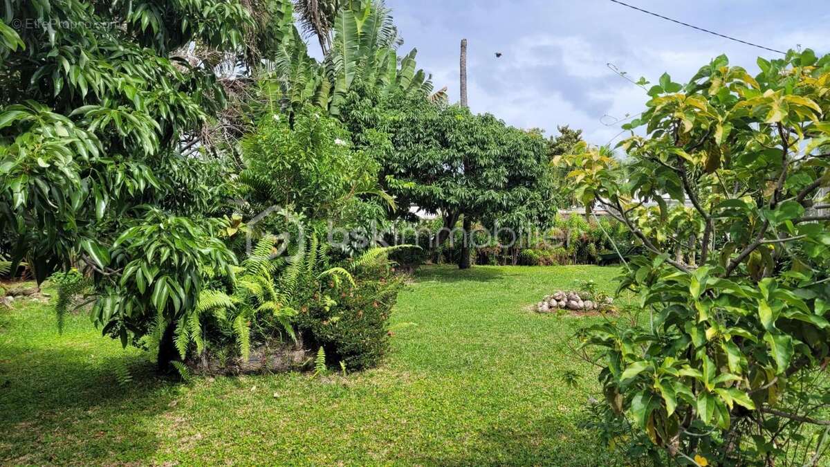 Terrain à SAINT-JOSEPH