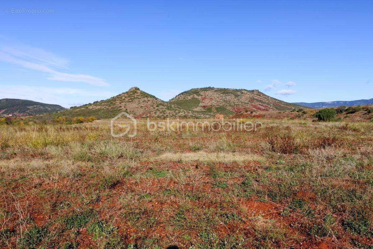 Terrain à SAINT-GUIRAUD
