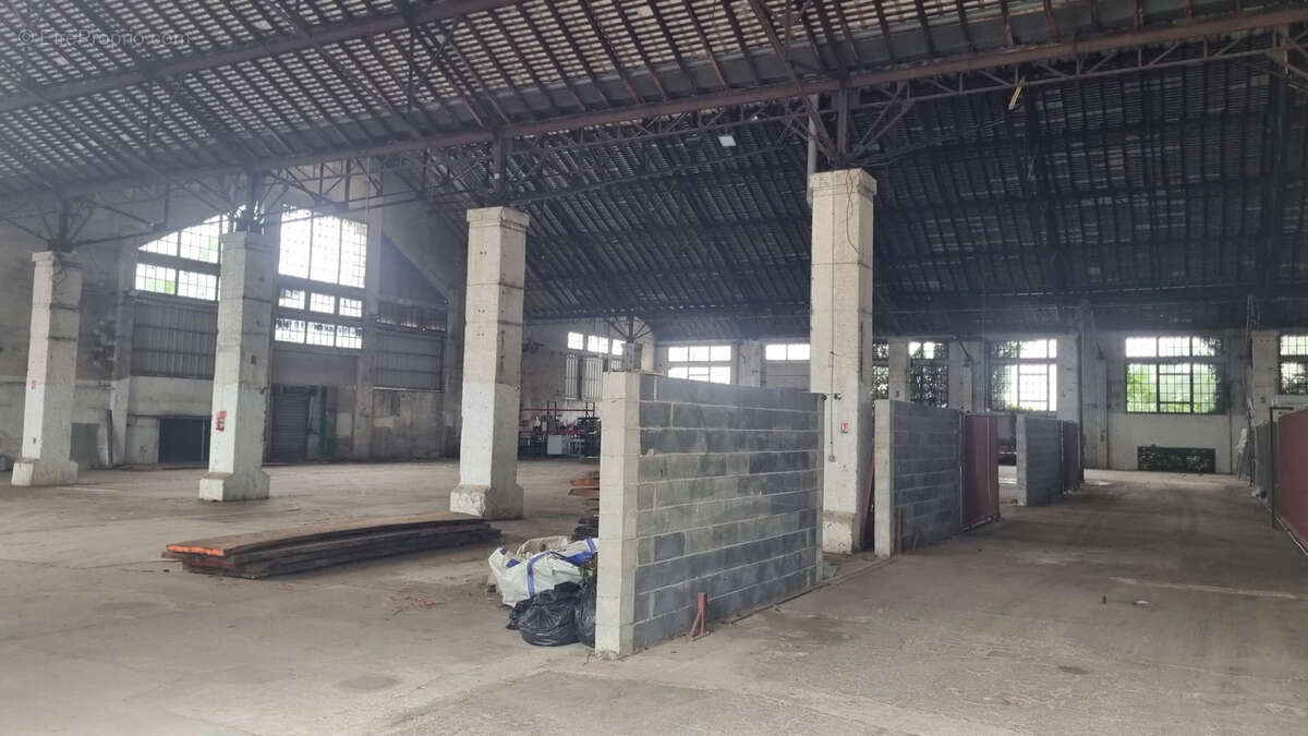 Bâtiment 2500 M2 - photo 3