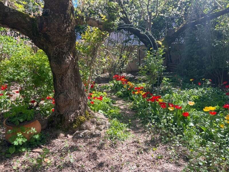 Maison à DIGNE-LES-BAINS