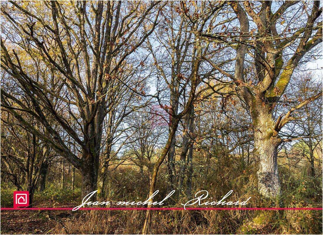 Terrain à COURMEMIN