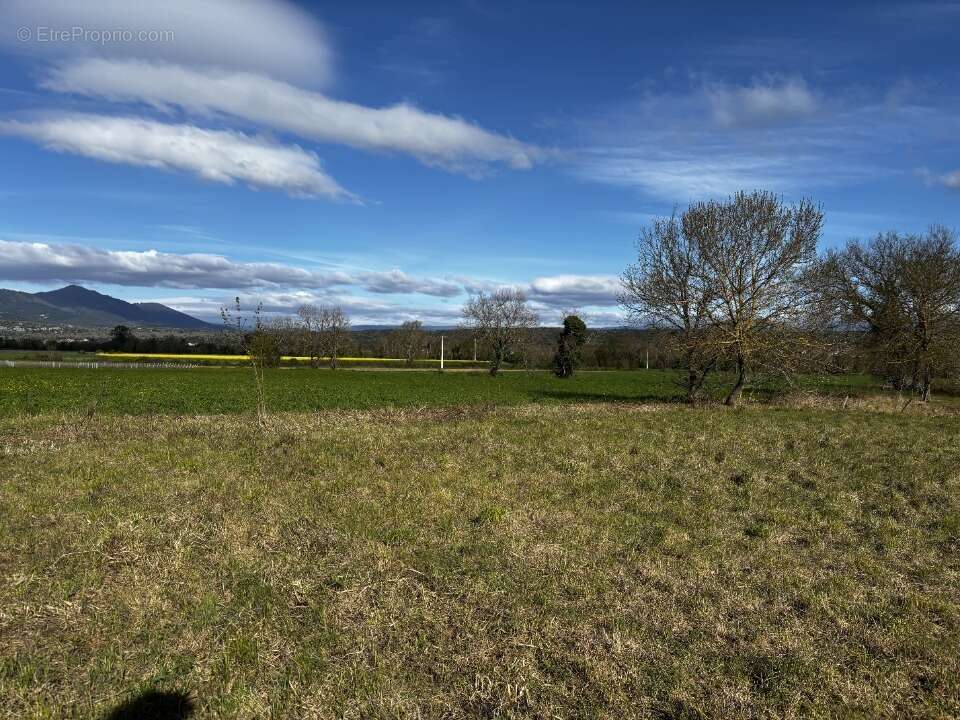 Terrain à BERRIAS-ET-CASTELJAU