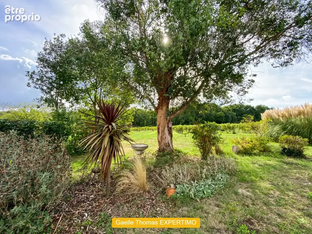 CHENAC SAINT SEURIN D'UZET 110 m2 3 Chambres Terrain 2052 m2 - photo 20