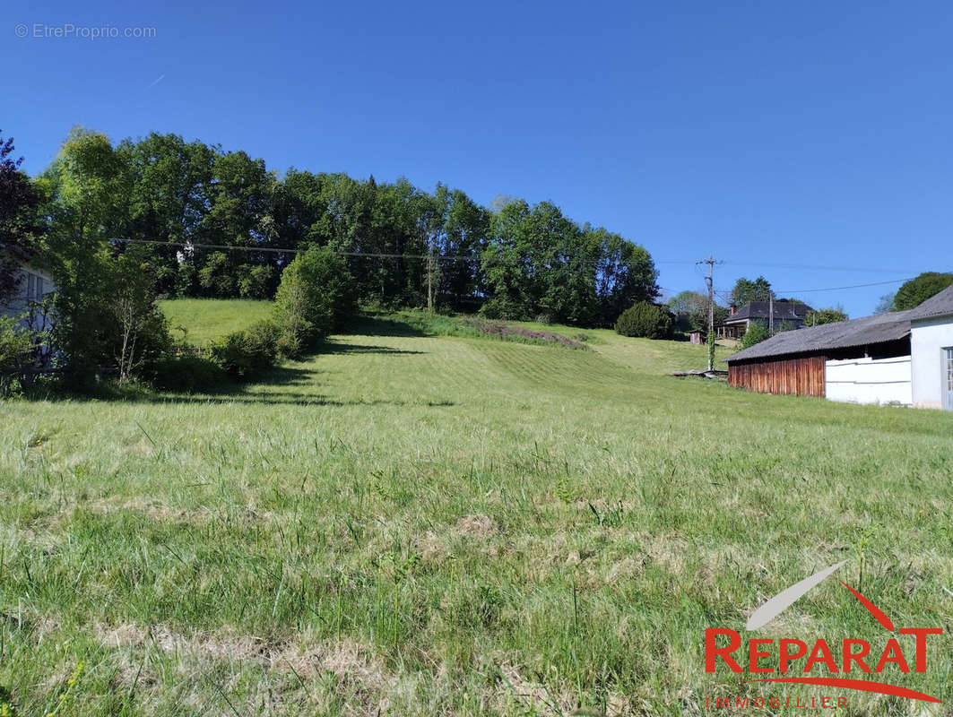 Terrain à SAINT-AULAIRE
