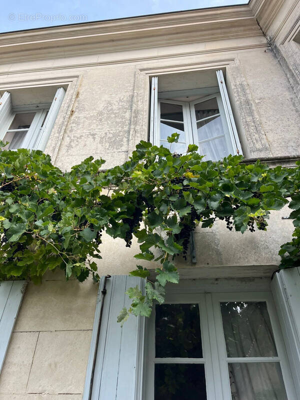 Maison à MESCHERS-SUR-GIRONDE